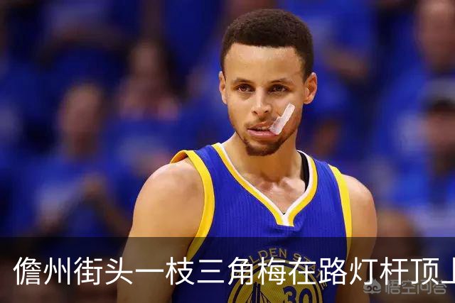 儋州街头一枝三角梅在路灯杆顶上开花，被赞“全网最努力”，园林管理局：其生长状况良好