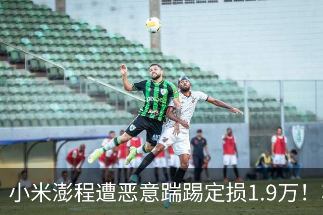 小米澎程遭恶意踹踢定损1.9万!车主放话:绝不手软,绝不和解……