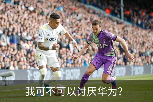 我可不可以讨厌华为?