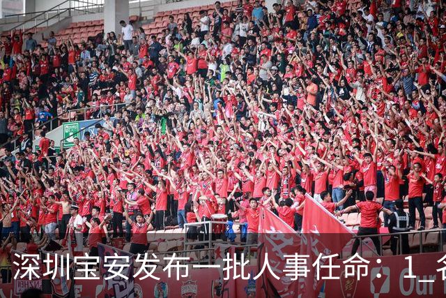 深圳宝安发布一批人事任命：1 名副区长、21 名局长