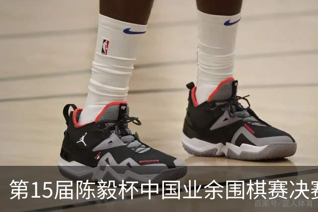 第15届陈毅杯中国业余围棋赛决赛在四川乐至举行